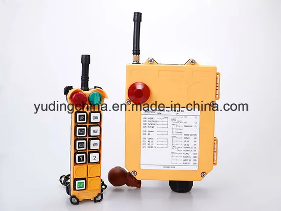 24V Remote Control for Truck Crane, Mobile Crane, Trailer Mounted Crane, Used Crane, Rough Terrain Crane 